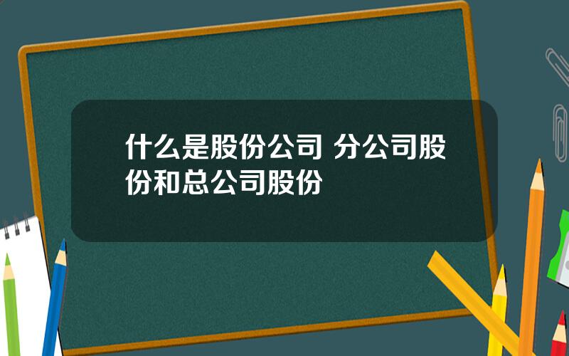 什么是股份公司 分公司股份和总公司股份